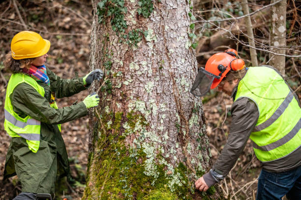 Best Arborist Consultation Services  in Rutherfordton, NC